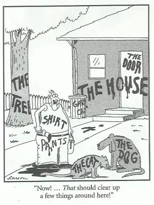 Far Side cartoon, "There, hat should clear a few things up around here"