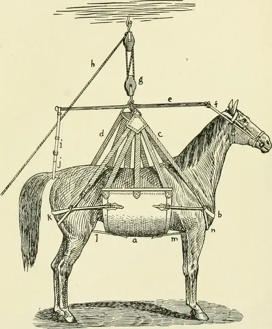 Pen-and-ink illustration of a horse in a sling attached to a winch-and-pulley system.