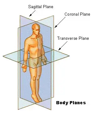 http://upload.wikimedia.org/wikipedia/commons/3/34/BodyPlanes.jpg