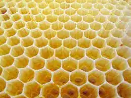 picture of honeycomb