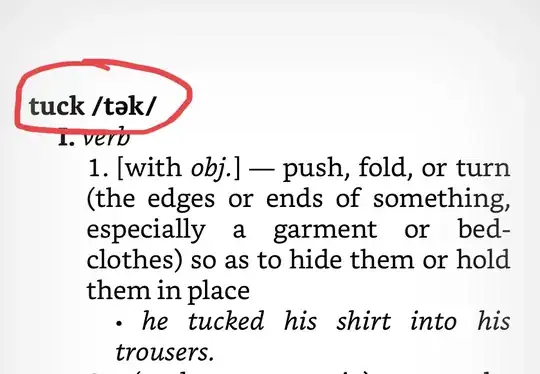 The New Oxford American Dictionary