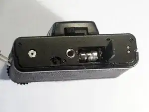 2hMt4RkcU42JFlpa