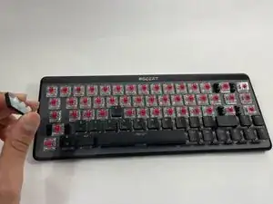 R21VFtHBsIIjB2PD