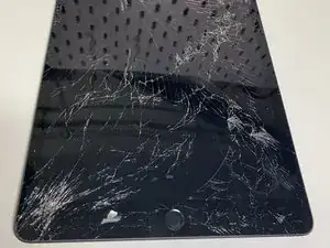 Display und Touch-Glas (WiFi & Cellular)