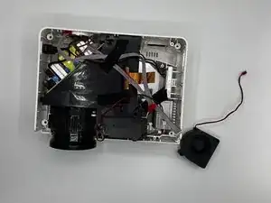 Fan