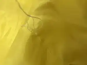 WY6xBTERZaVIIqYu