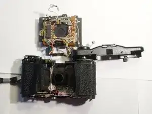 XLx62eSICHvqvQrX
