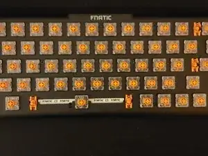 ZF2JjQRp5pjkhXSG