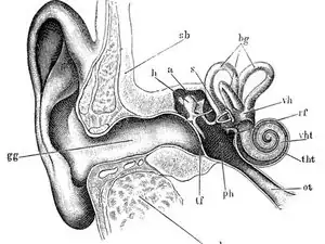 Audiometrie