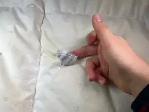 nvhusYLXYgsCQBGh