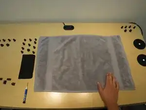 vJit1mZaCIcdDReX
