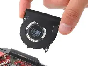 Right Fan