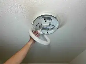 cCCUClBVWiCuKLVC