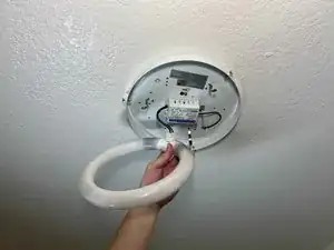 jxmVBsn6VX3WuGcd