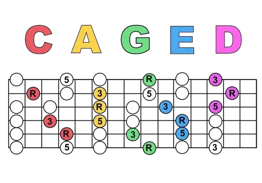 caged diagram