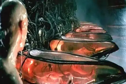 faked sensory perception 2