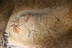 19 Rhinocéros