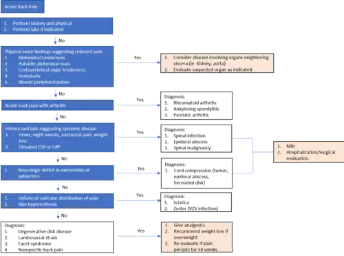 Diagnostic work up for acute back pain.