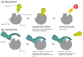 Competitive inhibition can also be allosteric, as long as the inhibitor and the substrate cannot bind the enzyme at the same time