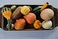 Assorted Cucurbita pepo