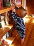 Having both hands up to reach any overhead object requires some care, possibly while tiptoeing.