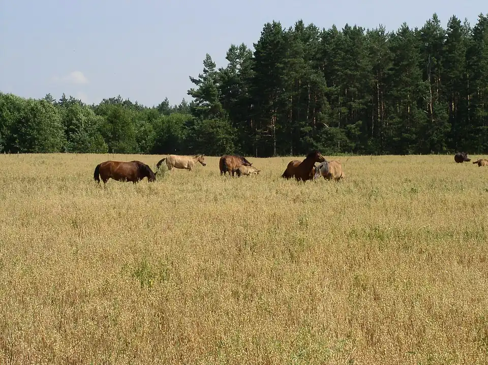 A photo of Belarus