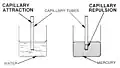 Adhesive liquids (like water but not mercury) will rise up a narrow tube.
