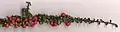 Cotoneaster integrifolius branch form showing long shoot with numerous short shoots