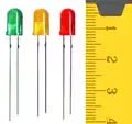 LEDs (light emitting diodes) of different colors. The color of the plastic that surrounds each diode isn't important, and some LEDs use clear plastic. There's a centimeter ruler at the right that tells you the plastic cases is are about 0.8&nbsp;cm long.