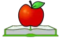 Bild 16