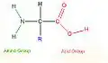 An example of a basic unit, an amino acid.