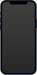 An iPhone 12 from late 2020.