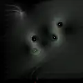 Image-based flow visualization
