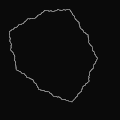 Critical orbit