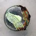 A corroded coin cell. Battery failure or corrosion can damage hardware.