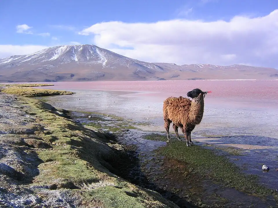 A photo of Bolivia