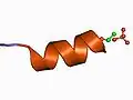 The basic units form a tecton, here shown as an alpha helix.