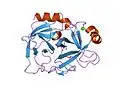 Structure of Trypsin