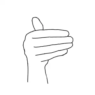 Polish Sign Language - letter M