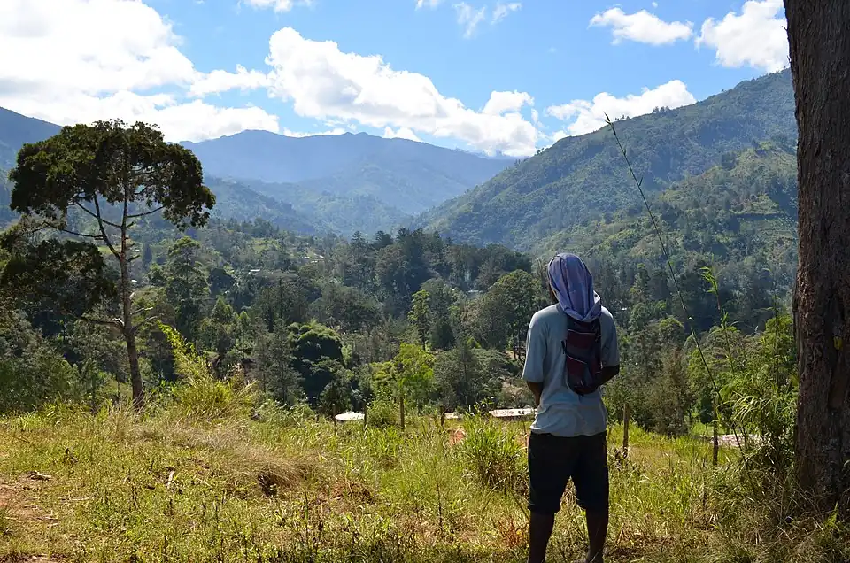 In the highlands of Papua new Guinea