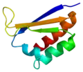 Neuro-oncological ventral antigen 1