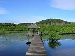 French Guiana