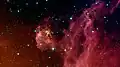 Infant stars, image from NASA's Spitzer Space Telescope.