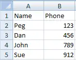 Screen image for spreadsheet input