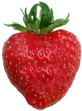 o morango