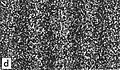 20000 electrons