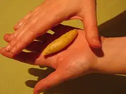 Shaping the cookies