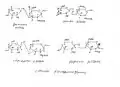 Some common glycosaminoglycans