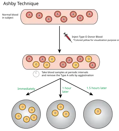 Ashby Technique Visual Representation.