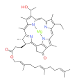 bacteriochlorophyll c